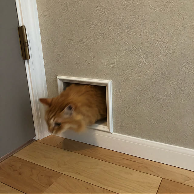 droppyさんの実例写真