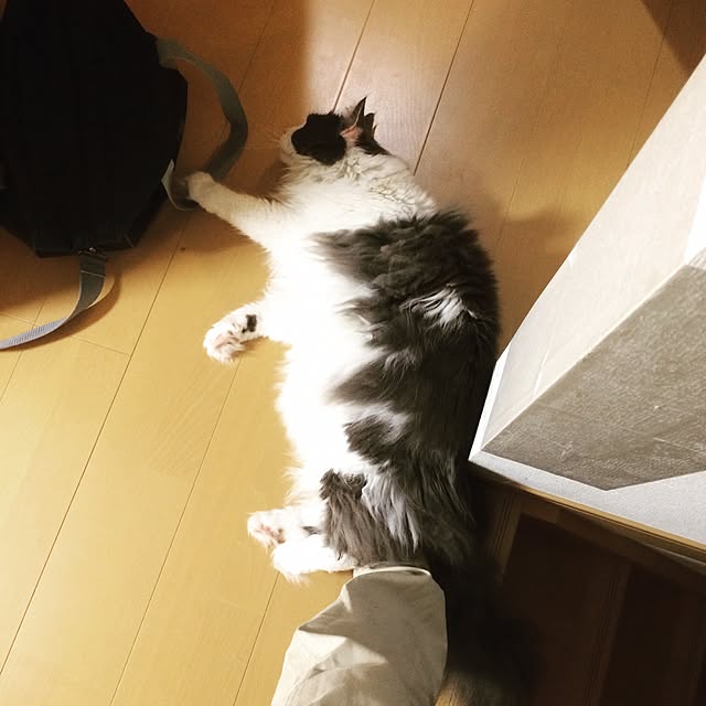 yucky_rioさんの実例写真