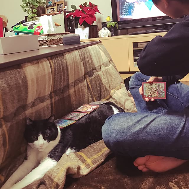 kumiさんの実例写真