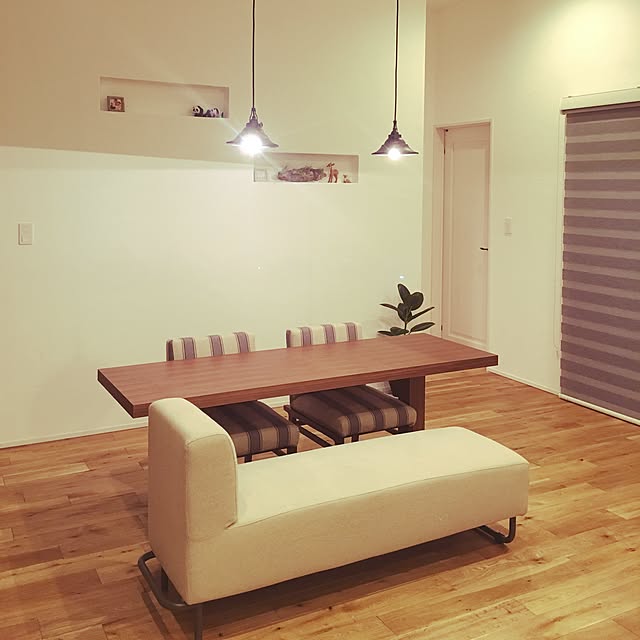DailyRoomclip