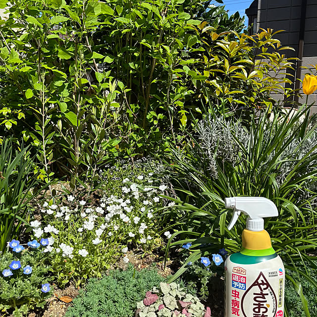 momocchiさんの部屋