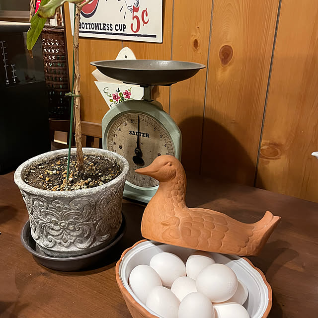 shin0719さんの実例写真