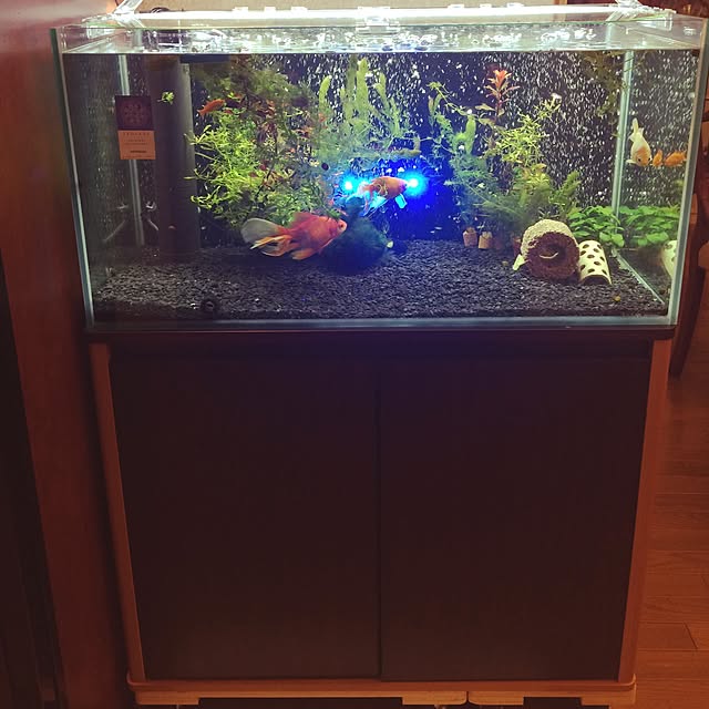 アクアリウム 90cm水槽のおすすめ商品とおしゃれな実例 アクアリウム 90cm水槽のおすすめ商品とおしゃれな実例