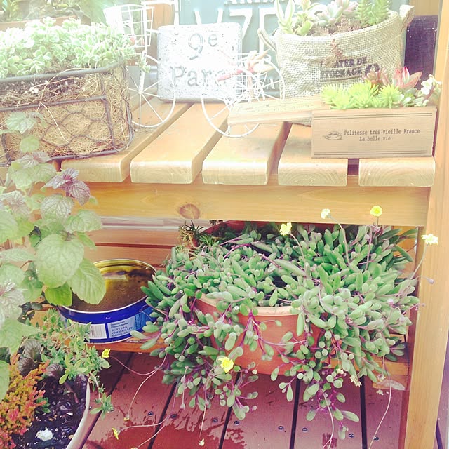 yukkaさんの実例写真
