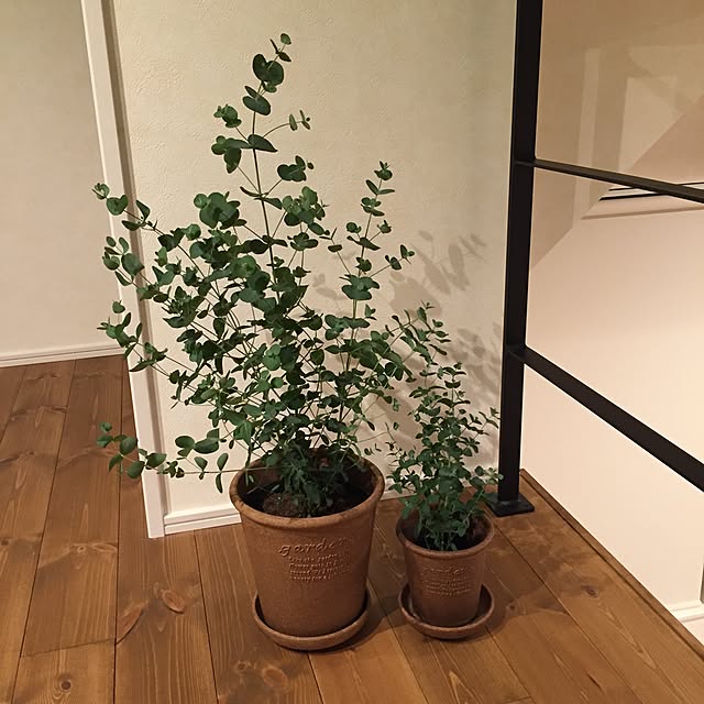 rinaaaa_1125さんの実例写真