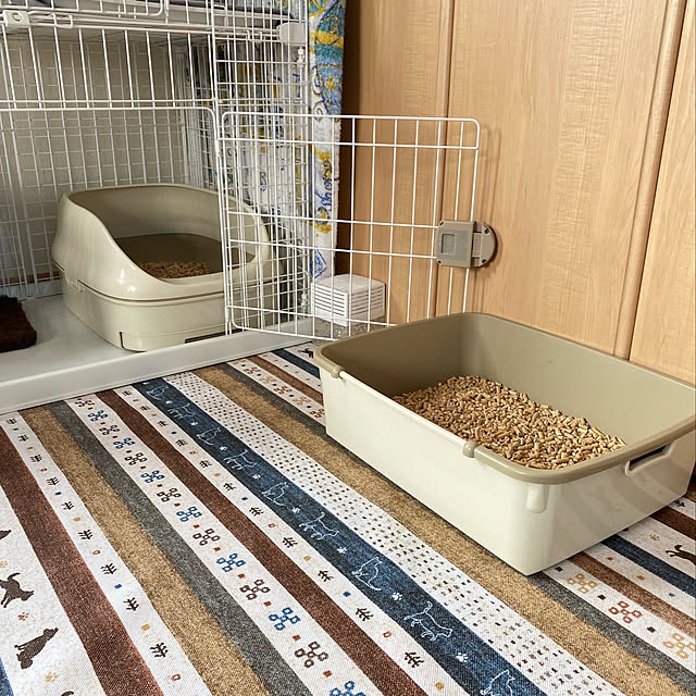 prelumoさんの実例写真