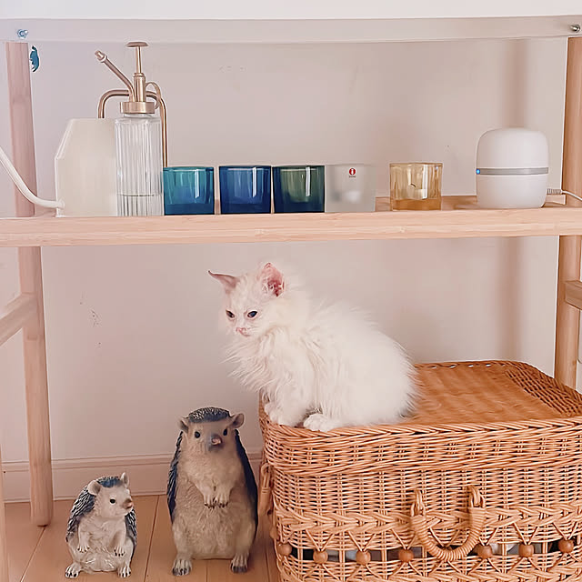 milkcocoaさんの部屋