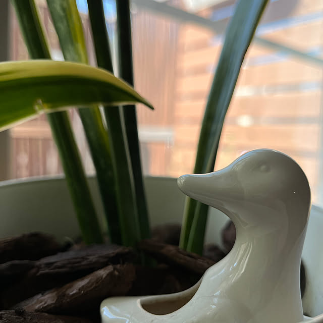 kojimasaさんの部屋