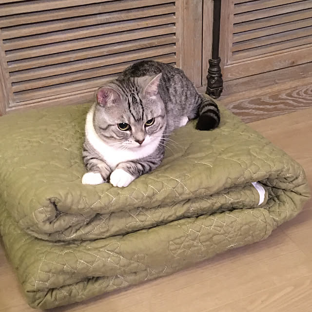 automneさんの実例写真