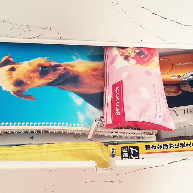 dolphin24さんの実例写真