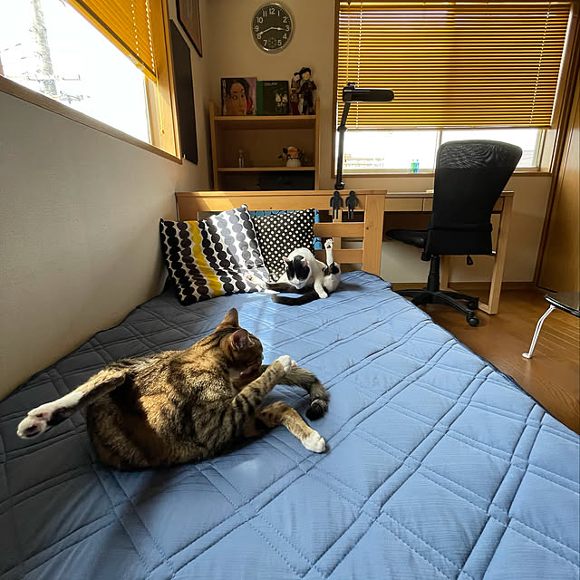 nobikoさんの実例写真