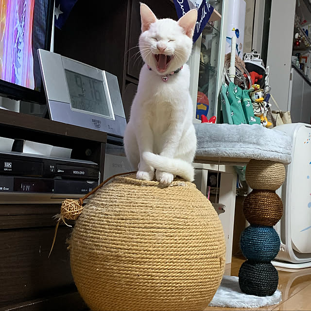 norinoriさんの実例写真