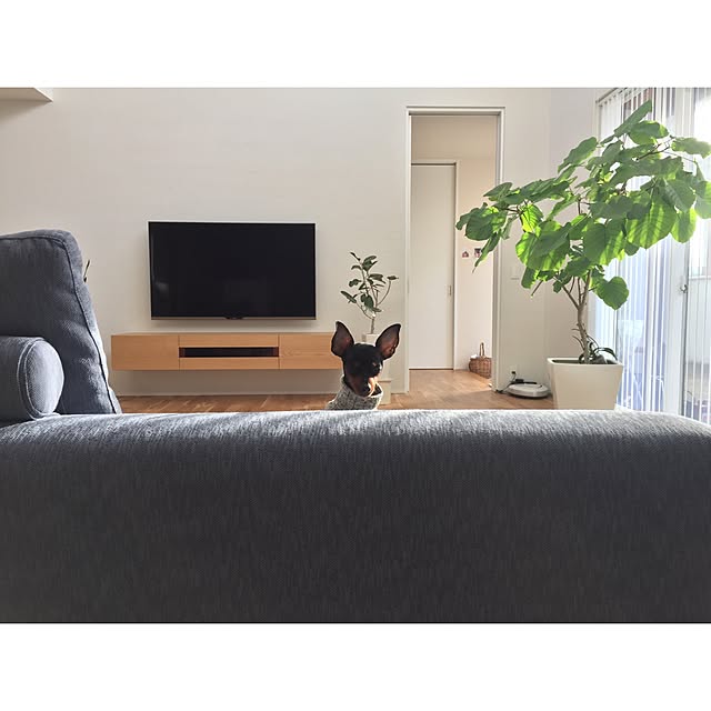 yoshikoさんの実例写真