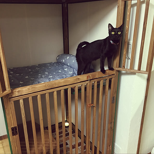 yamamomokansaburouさんの実例写真