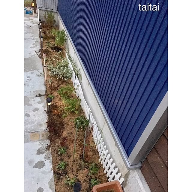 taitaiさんの実例写真