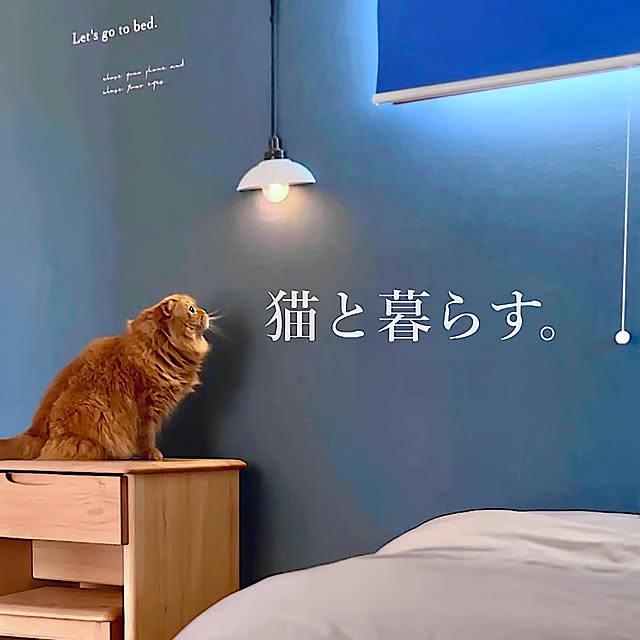chibinoriさんの実例写真