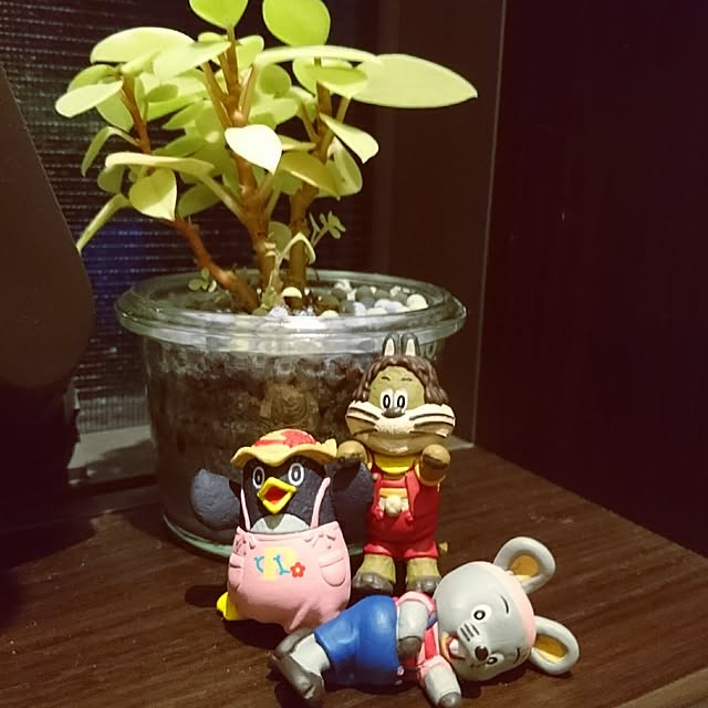Hanaeさんの実例写真