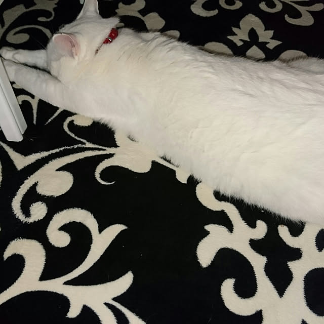 Sophie171922さんの実例写真