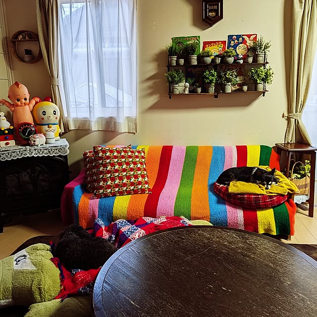 umeboshicyanさんの実例写真