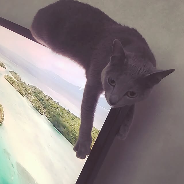 Rさんの実例写真