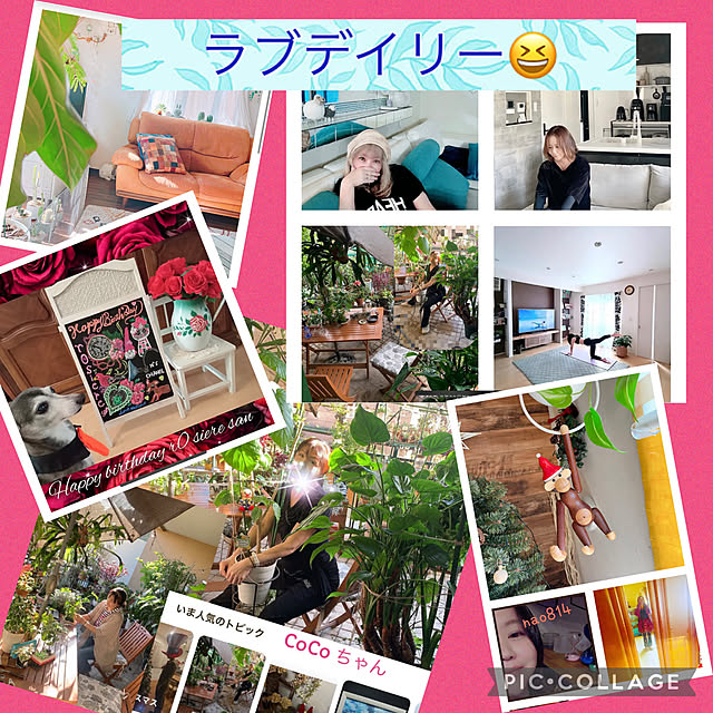 Aqettyさんの実例写真