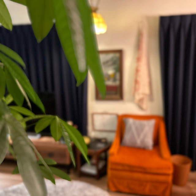koheijapanさんの部屋