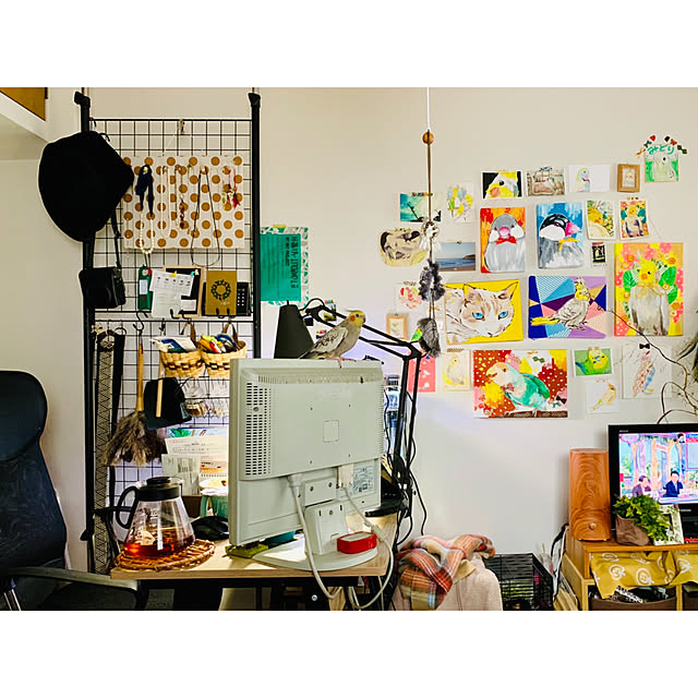 parrotさんの実例写真