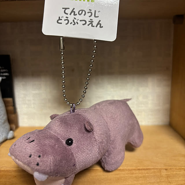 syutmmさんの部屋