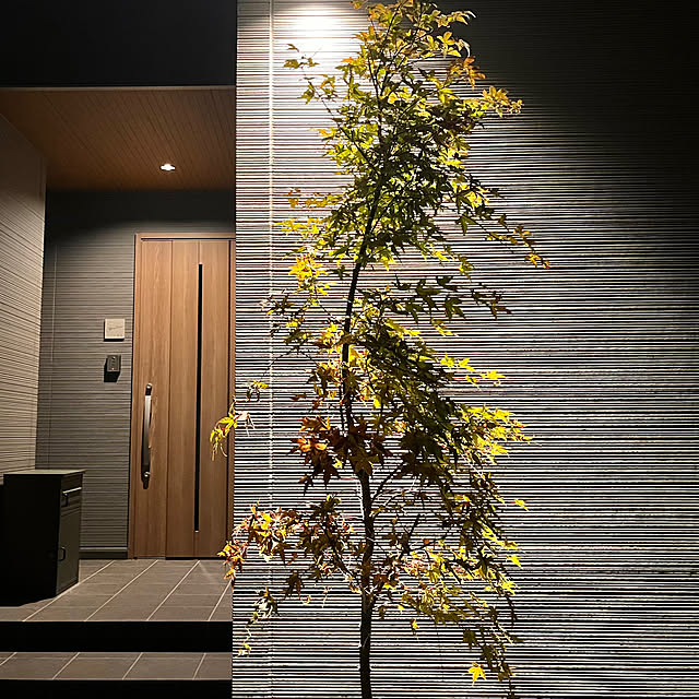 PUNさんの部屋