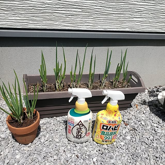 tokkiさんの実例写真