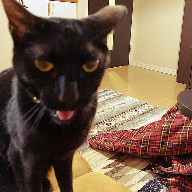 suemonta14さんの実例写真