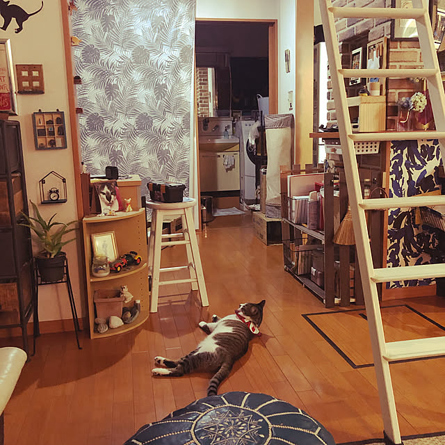 jijiさんの実例写真