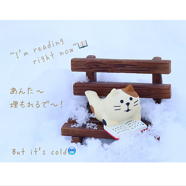 maiyukapiさんの実例写真