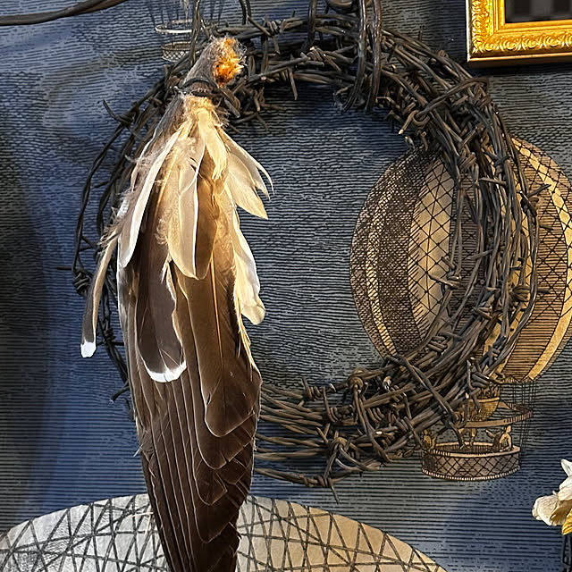 okyame-chanさんの部屋