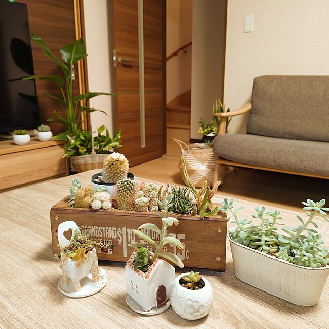 coconathuさんの実例写真