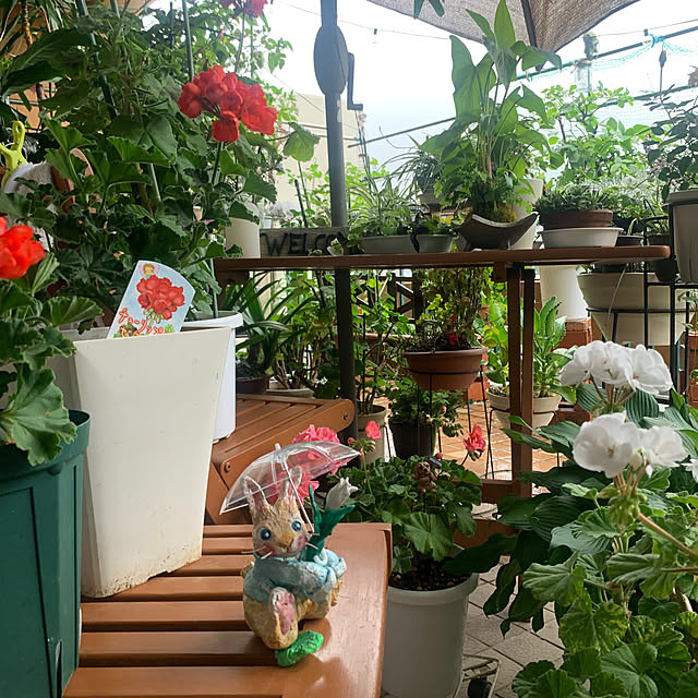 Aqettyさんの部屋