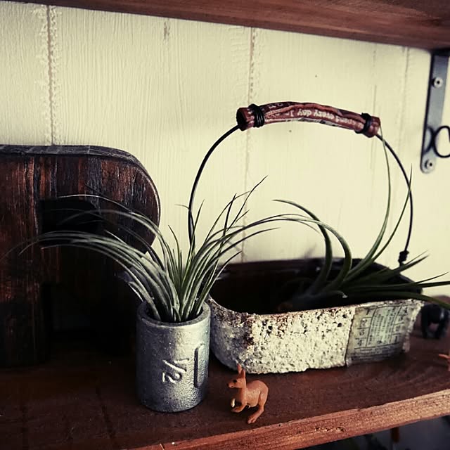 andante365さんの実例写真