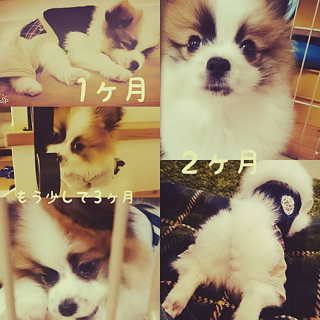 rumiさんの実例写真