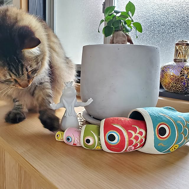 makoさんの部屋