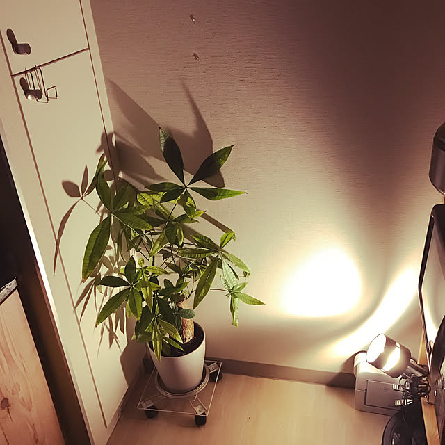 alexantaさんの実例写真