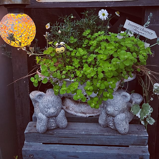 mocomocoさんの実例写真