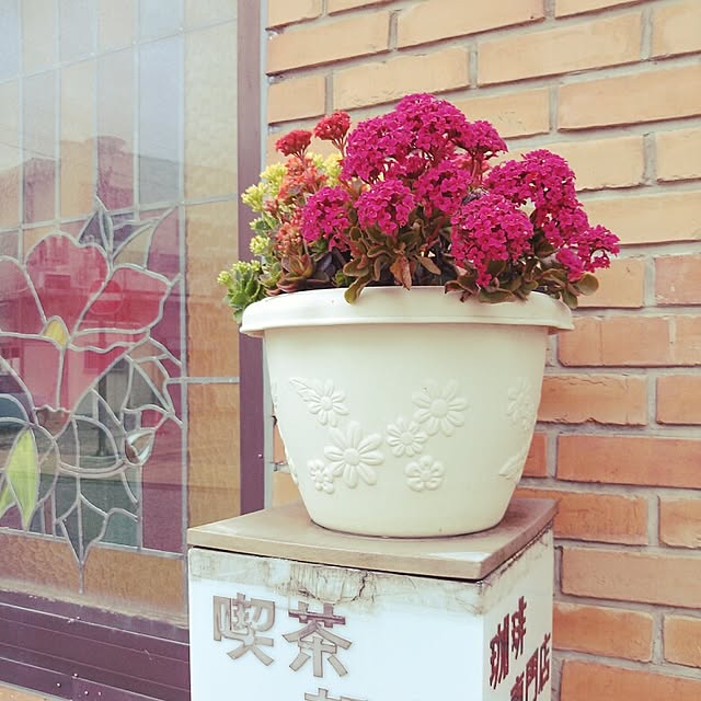 akoさんの実例写真