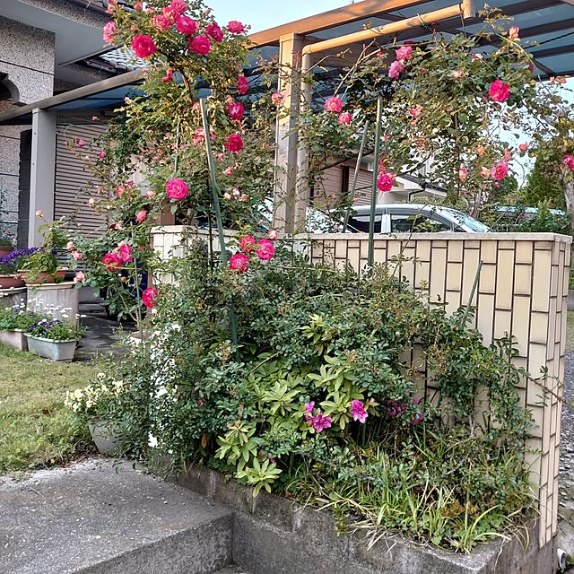kisaragiさんの部屋