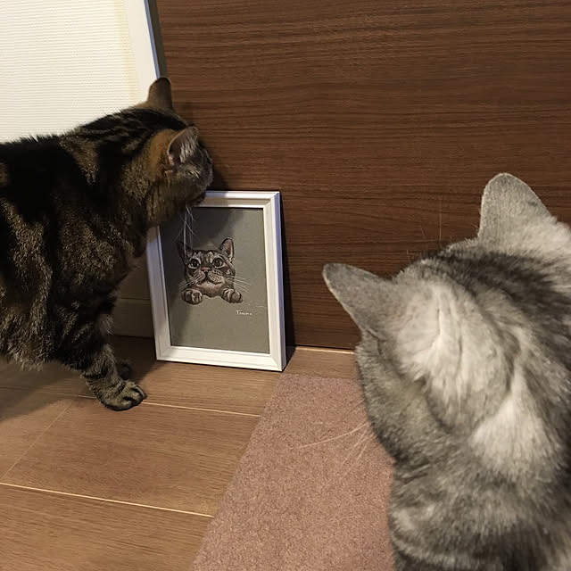mikomaruさんの実例写真