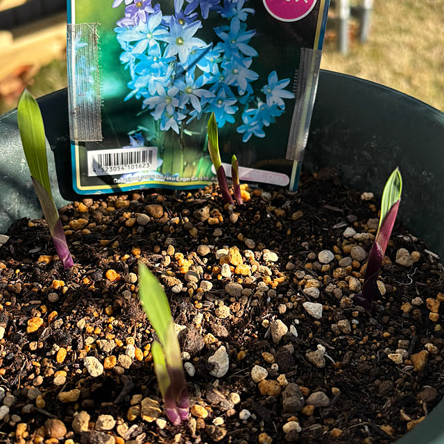 bonjiri0824さんの実例写真