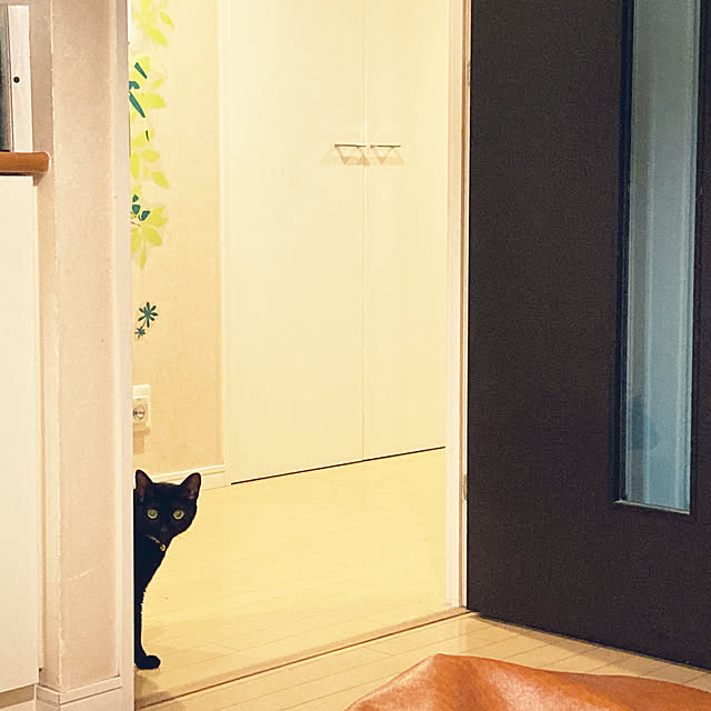 suemonta14さんの部屋