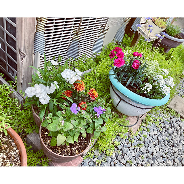 CoCo0617さんの実例写真