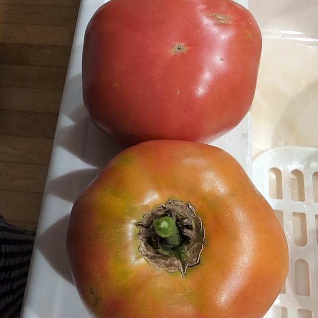 appleさんの実例写真