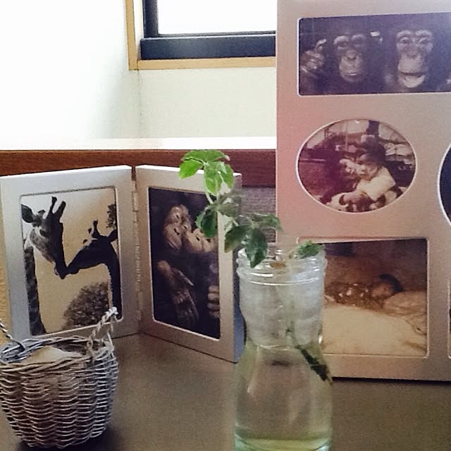 Mikaさんの実例写真
