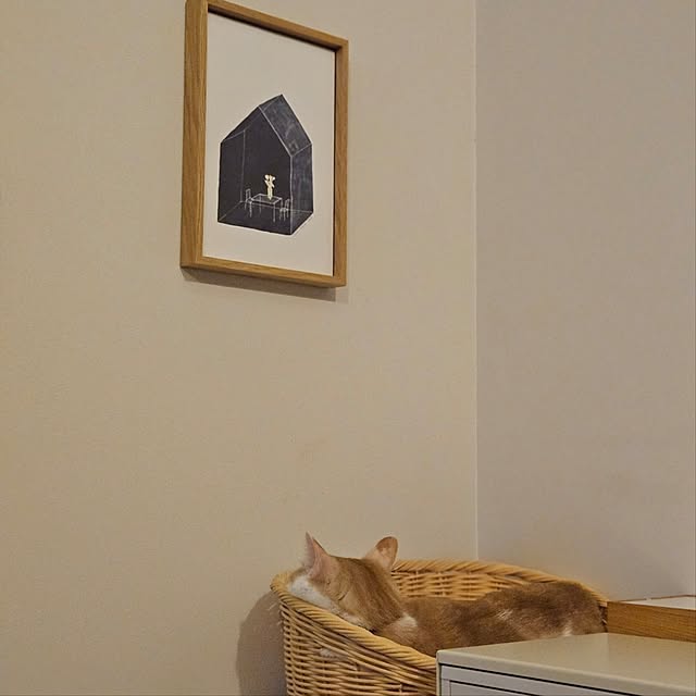 koyurizuさんの部屋
